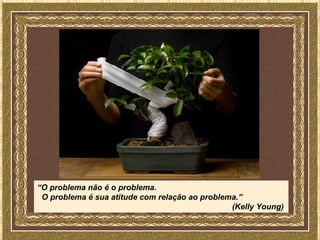 “O problema não é o problema.
 O problema é sua atitude com relação ao problema.”
                                                (Kelly Young)
 