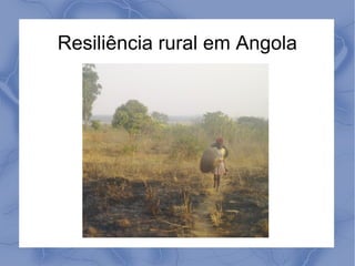 Resiliência rural em Angola

 