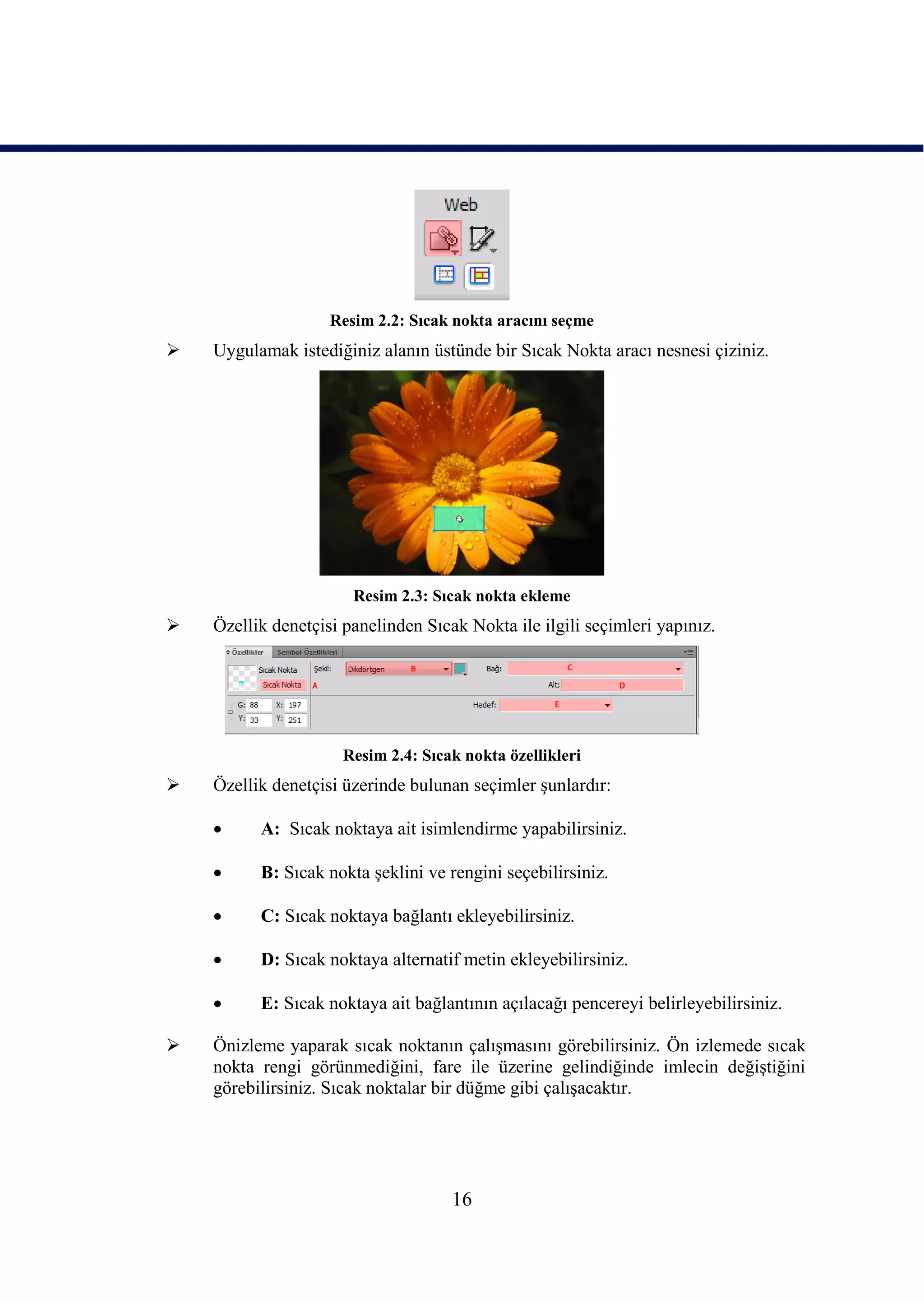 Resim 2.2: Sıcak nokta aracını seçme
   Uygulamak istediğiniz alanın üstünde bir Sıcak Nokta aracı nesnesi çiziniz.




                       Resim 2.3: Sıcak nokta ekleme
   Özellik denetçisi panelinden Sıcak Nokta ile ilgili seçimleri yapınız.




                      Resim 2.4: Sıcak nokta özellikleri
   Özellik denetçisi üzerinde bulunan seçimler Ģunlardır:

         A: Sıcak noktaya ait isimlendirme yapabilirsiniz.

         B: Sıcak nokta Ģeklini ve rengini seçebilirsiniz.

         C: Sıcak noktaya bağlantı ekleyebilirsiniz.

         D: Sıcak noktaya alternatif metin ekleyebilirsiniz.

         E: Sıcak noktaya ait bağlantının açılacağı pencereyi belirleyebilirsiniz.

   Önizleme yaparak sıcak noktanın çalıĢmasını görebilirsiniz. Ön izlemede sıcak
    nokta rengi görünmediğini, fare ile üzerine gelindiğinde imlecin değiĢtiğini
    görebilirsiniz. Sıcak noktalar bir düğme gibi çalıĢacaktır.




                                     16
 