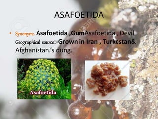ASAFOETIDA
• Synonym:-Asafoetida ,GumAsafoetida , Devil
Geographical source:-Grown in Iran , Turkestan&
Afghanistan.’s dung.
 