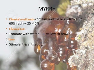 MYRRH
• Chemical constituents:-contains volatile oils – 10%,gum –
60%,resin – 25 -40%
• Chemical test:-
• Triturate with water yellowish brown
3.Uses:-
• Stimulent & antiseptic.
 