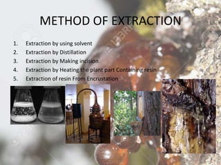 METHOD OF EXTRACTION
1. Extraction by using solvent
2. Extraction by Distillation
3. Extraction by Making incision
4. Extraction by Heating the plant part Containing resin
5. Extraction of resin From Encrustation
 