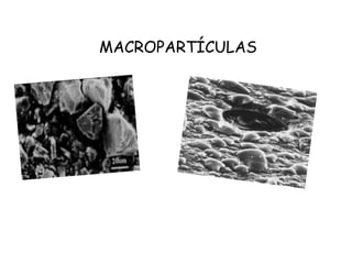 MACROPARTÍCULAS
 