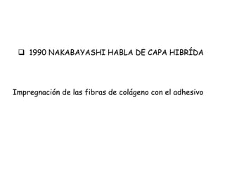  1990 NAKABAYASHI HABLA DE CAPA HIBRÍDA
Impregnación de las fibras de colágeno con el adhesivo
 