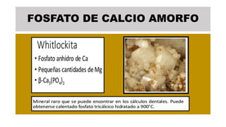 FOSFATO DE CALCIO AMORFO
 