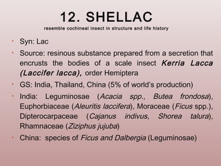 Shellac Insekt Resins | PPT