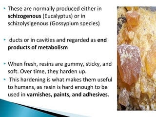  These are normally produced either in
schizogenous (Eucalyptus) or in
schizolysigenous (Gossypium species)
 ducts or in cavities and regarded as end
products of metabolism
 When fresh, resins are gummy, sticky, and
soft. Over time, they harden up.
 This hardening is what makes them useful
to humans, as resin is hard enough to be
used in varnishes, paints, and adhesives.
 