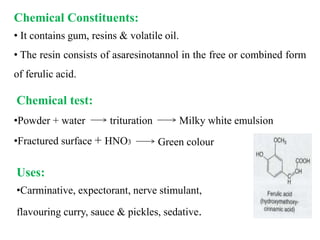 Chemical Constituents:
• It contains gum, resins & volatile oil.
• The resin consists of asaresinotannol in the free or combined form
of ferulic acid.
•Powder + water trituration Milky white emulsion
•Fractured surface + HNO3 Green colour
Uses:
•Carminative, expectorant, nerve stimulant,
flavouring curry, sauce & pickles, sedative.
Chemical test:
 
