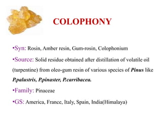 COLOPHONY
•Syn: Rosin, Amber resin, Gum-rosin, Colophonium
•Source: Solid residue obtained after distillation of volatile oil
(turpentine) from oleo-gum resin of various species of Pinus like
P.palustris, P.pinaster, P.carribacea.
•Family: Pinaceae
•GS: America, France, Italy, Spain, India(Himalaya)
 