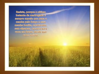 Resista, porque o ultimo instante da madrugada e sempre aquele que puxa a manha pelo braço e essa manha bonita, ensolarada, sem algemas, nascera para voce em breve, desde que voce resista.