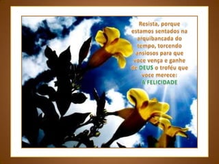 Resista, porque estamos sentados na arquibancada do tempo, torcendo ansiosos para que voce vença e ganhe de DEUS o troféu que voce merece: A FELICIDADE