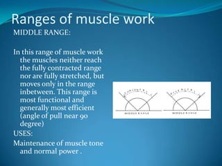 Ranges of muscle work
MIDDLE RANGE:

In this range of muscle work
  the muscles neither reach
  the fully contracted range
  nor are fully stretched, but
  moves only in the range
  inbetween. This range is
  most functional and
  generally most efficient
  (angle of pull near 90
  degree)
USES:
Maintenance of muscle tone
  and normal power .
 