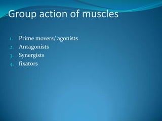 Group action of muscles

1. Prime movers/ agonists
2. Antagonists
3. Synergists
4. fixators
 