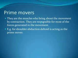 Prime movers
 They are the muscles who bring about the movement
  by contraction. They are responsible for most of the
                              e
  forces generated in the movement.
 E.g. for shoulder abduction deltoid is acting as the
  prime mover.
 