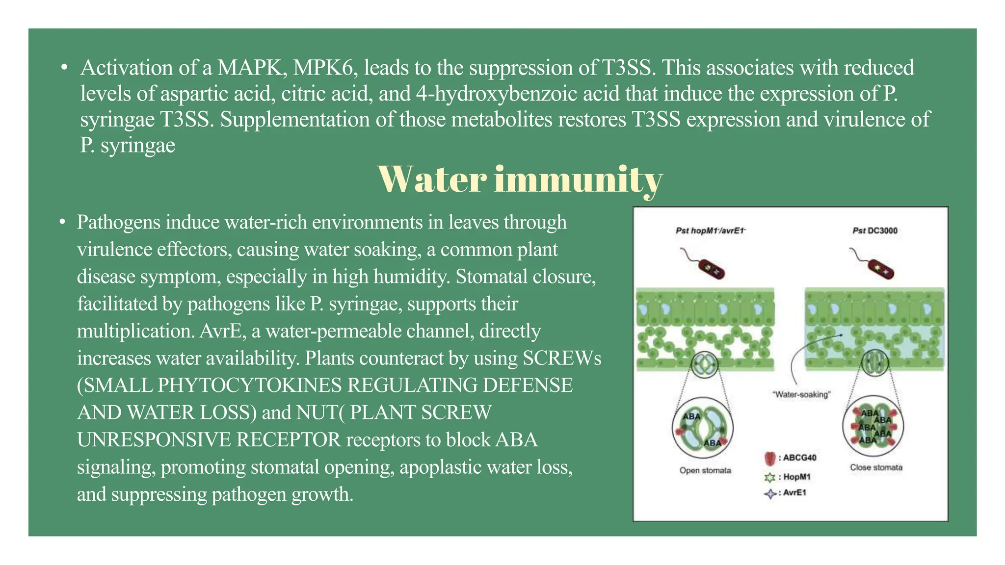 Disease Resistance in plants : Detailed insights on Plant- Pathogen ...