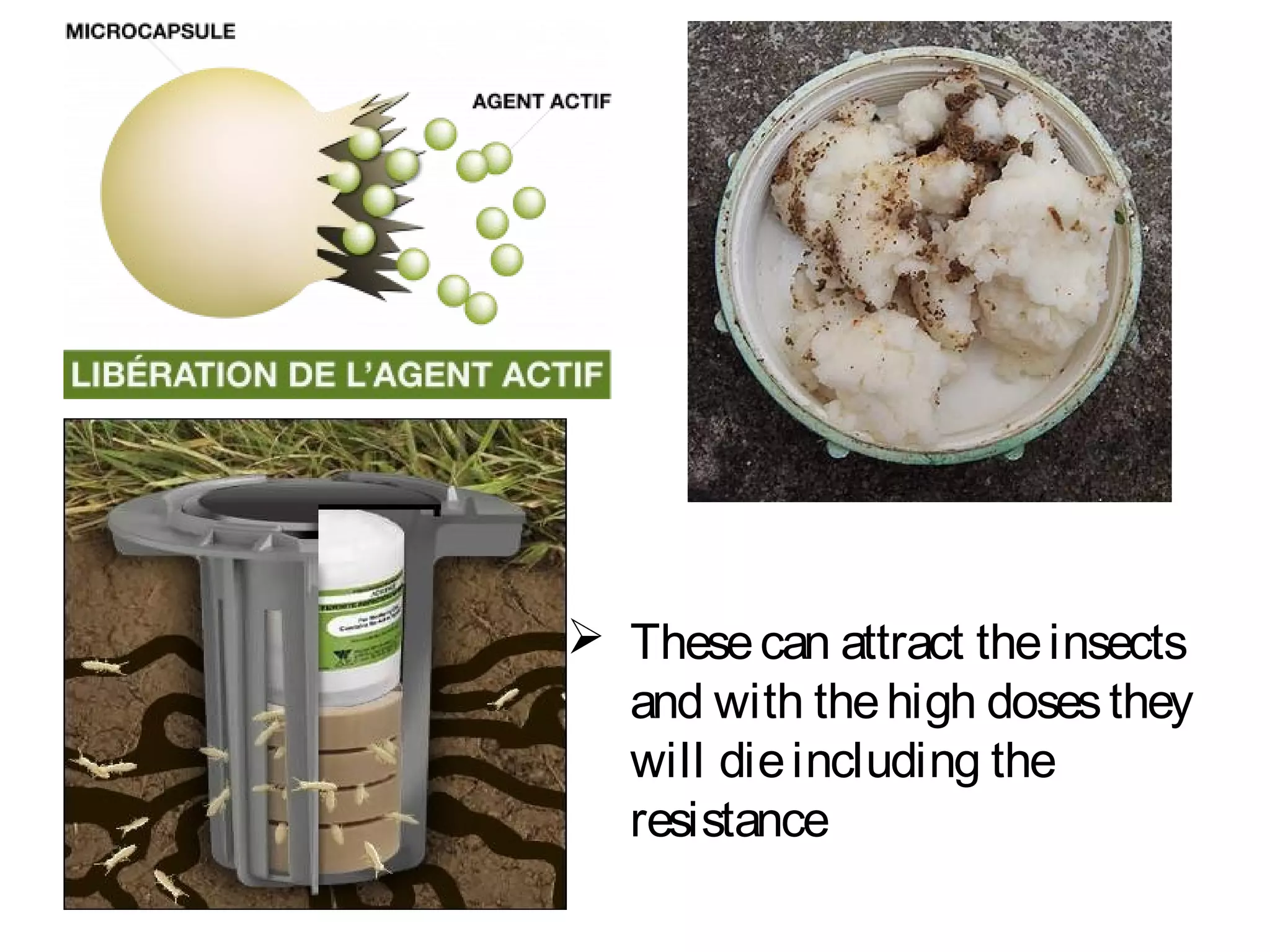 Multiple Resistance Insecide INSECTICIDE RESISTANCE MANAGEMENT STRATEGY-NAIK | PPT