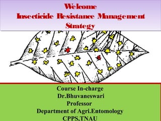 Welcome 
Welcome 
Insecticide Resistance Management 
Insecticide Resistance Management 
Strategy 
Strategy 
Course In-charge 
Dr.Bhuvaneswari 
Course In-charge 
Dr.Bhuvaneswari 
Professor 
Professor 
Department of Agri.Entomology 
Department of Agri.Entomology 
CPPS,TNAU 
CPPS,TNAU 
 