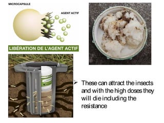  These can attract the insects 
and with the high doses they 
will die including the 
resistance 
 