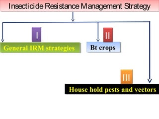 Insecticide Resistance MMaannaaggeemmeenntt SSttrraatteeggyy 
GGeenneerraall IIRRMM ssttrraatteeggiieess BBtt ccrrooppss 
HHoouussee hhoolldd ppeessttss aanndd vveeccttoorrss 
I 
III 
II 
 