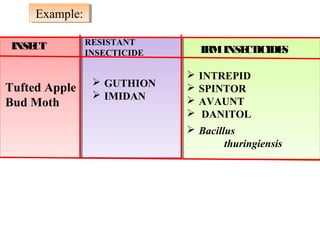 INSECT RESISTANT 
INSECTICIDE IRM INSECTICIDES 
Tufted Apple 
Bud Moth 
 GUTHION 
 IMIDAN 
 INTREPID 
 SPINTOR 
 AVAUNT 
 DANITOL 
 Bacillus 
thuringiensis 
EExxaammppllee:: 
 