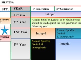 STRATEGY: 
STY. YEAR 1st Generation 2nd Generation 
STRATEG 
Y 
STRATEG 
Y 
1 ST Year Intrepid 
Avaunt, SpinTor, Danitol or B. thuringiensis 
should be used against the first generation the 
following year 
2ND Year 
STRATEG 
Y 
STRATEG 
Y 
1 ST Year Intrepid Avaunt, SpinTor, 
Danitol, 
B. thuringiensis. 
2ND Year 
Avaunt, SpinTor, 
Danitol, B. 
thuringiensis. 
Intrepid 
Intrepid 
 