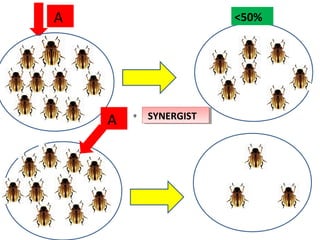 A <50% 
A + S SYYNNEERRGGIISSTT 
 