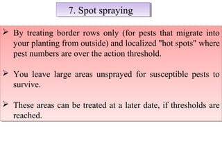 77.. SSppoott sspprraayyiinngg 
 By treating border rows only (for pests that migrate into 
your planting from outside) and localized "hot spots" where 
pest numbers are over the action threshold. 
 You leave large areas unsprayed for susceptible pests to 
survive. 
 These areas can be treated at a later date, if thresholds are 
reached. 
 By treating border rows only (for pests that migrate into 
your planting from outside) and localized "hot spots" where 
pest numbers are over the action threshold. 
 You leave large areas unsprayed for susceptible pests to 
survive. 
 These areas can be treated at a later date, if thresholds are 
reached. 
 