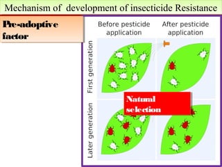 Mechanism of development o Mechanism of development off iinnsseeccttiicciiddee RReessiissttaannccee 
Pre-adoptive 
factor 
Pre-adoptive 
factor 
Natural 
selection 
Natural 
selection 
 