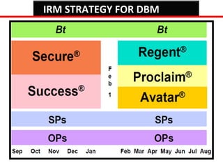 IRM STRATEGY FOR DBM 
 