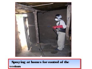 Spraying at homes for control of the 
vectors 
Spraying at homes for control of the 
vectors 
 