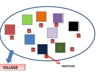 v 
AA 
VVIILLLLAAGGEE 
HH 
GG 
FF 
DD EE 
CC 
BB 
II 
INSECTICDE 
 