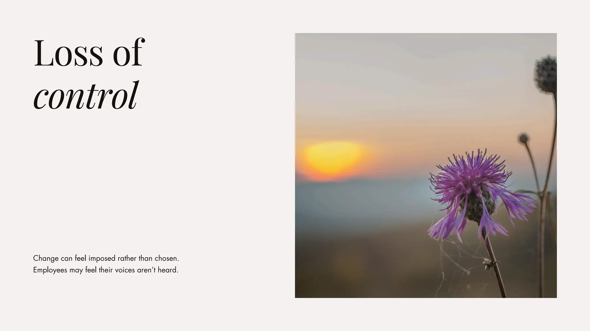 Change can feel imposed rather than chosen.
Employees may feel their voices aren’t heard.
Loss of
control
 