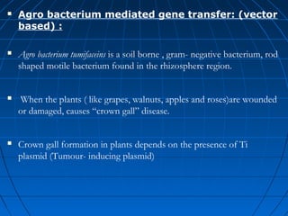 

Agro bacterium mediated gene transfer: (vector
based) :



Agro bacterium tumifaceins is a soil borne , gram- negative bacterium, rod
shaped motile bacterium found in the rhizosphere region.



When the plants ( like grapes, walnuts, apples and roses)are wounded
or damaged, causes “crown gall” disease.



Crown gall formation in plants depends on the presence of Ti
plasmid (Tumour- inducing plasmid)

 