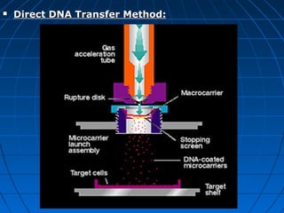 

Direct DNA Transfer Method:

 