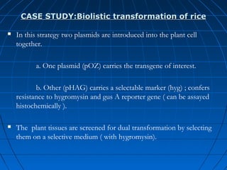 CASE STUDY:Biolistic transformation of rice


In this strategy two plasmids are introduced into the plant cell
together.
a. One plasmid (pOZ) carries the transgene of interest.
b. Other (pHAG) carries a selectable marker (hyg) ; confers
resistance to hygromysin and gus A reporter gene ( can be assayed
histochemically ).



The plant tissues are screened for dual transformation by selecting
them on a selective medium ( with hygromysin).

 