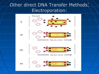 Other direct DNA Transfer Methods:
Electroporation:

 