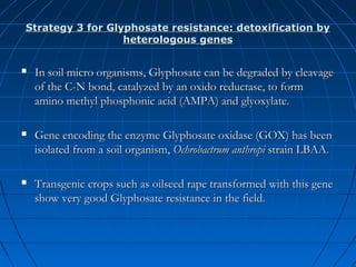 Strategy 3 for Glyphosate resistance: detoxification by
heterologous genes


In soil micro organisms, Glyphosate can be degraded by cleavage
of the C-N bond, catalyzed by an oxido reductase, to form
amino methyl phosphonic acid (AMPA) and glyoxylate.



Gene encoding the enzyme Glyphosate oxidase (GOX) has been
isolated from a soil organism, Ochrobactrum anthropi strain LBAA.



Transgenic crops such as oilseed rape transformed with this gene
show very good Glyphosate resistance in the field.

 