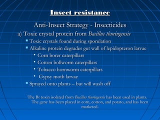 Insect resistance
Anti-Insect Strategy - Insecticides
a) Toxic crystal protein from Bacillus thuringensis
Toxic crystals found during sporulation
 Alkaline protein degrades gut wall of lepidopteron larvae
• Corn borer caterpillars
• Cotton bollworm caterpillars
• Tobacco hornworm caterpillars
• Gypsy moth larvae
 Sprayed onto plants – but will wash off


The Bt toxin isolated from Bacillus thuringensis has been used in plants.
The gene has been placed in corn, cotton, and potato, and has been
marketed.

 