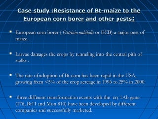 Case study :Resistance of Bt-maize to the
European corn borer and other pests:


European corn borer ( Ostrinia nubilalis or ECB) a major pest of
maize.



Larvae damages the crops by tunneling into the central pith of
stalks .



The rate of adoption of Bt-corn has been rapid in the USA,
growing from <5% of the crop acreage in 1996 to 25% in 2000.



three different transformation events with the cry 1Ab gene
(176, Bt11 and Mon 810) have been developed by different
companies and successfully marketed.

 