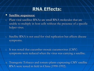RNA Effects:

I.

I.

I.

II.

Satellite sequences:
Plant viral satellites RNAs are small RNA molecules that are
unable to multiply in host cells without the presence of a specific
helper virus.
Satellite RNA is not used for viral replication but affects disease
symptoms.
It was noted that cucumber mosaic cucumovirus (CMV)
symptoms were reduced when the virus was carrying a satellite.
Transgenic Tobacco and tomato plants expressing CMV satellite
RNA were tested in field in China (1990-1992).

 