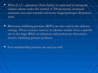

When β-1,3 – glucanase (from barley) is expressed in transgenic
tobacco plants under the control of 35S promoter, increased
resistance was seen towards soil borne fungal pathogen Rhizoctonia
solani.



Ribosome inhibiting proteins (RIP’s) are also used in the defense
strategy. These enzymes remove an adenine residue from a specific
site in the large rRNA of eukaryote and prokaryote ribosome's,
thereby inhibiting protein synthesis.



Few antimicrobial proteins are used as well .

 
