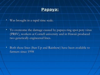 Papaya:


Was brought in a rapid time scale.



To overcome the damage caused by papaya ring spot poty virus
(PRSV), workers at Cornell university and in Hawaii produced
two genetically engineered lines.



Both these lines (Sun Up and Rainbow) have been available to
farmers since 1998

 
