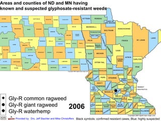 Gly-R common ragweed Gly-R giant ragweed Gly-R waterhemp Black symbols: confirmed resistant cases; Blue: highly suspected Provided by:  Drs. Jeff Stachler and Mike Christoffers Areas and counties of ND and MN having known and suspected glyphosate-resistant weeds 2006 
