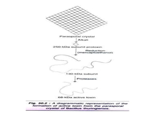 Resistance to biotic stresses | PPTX