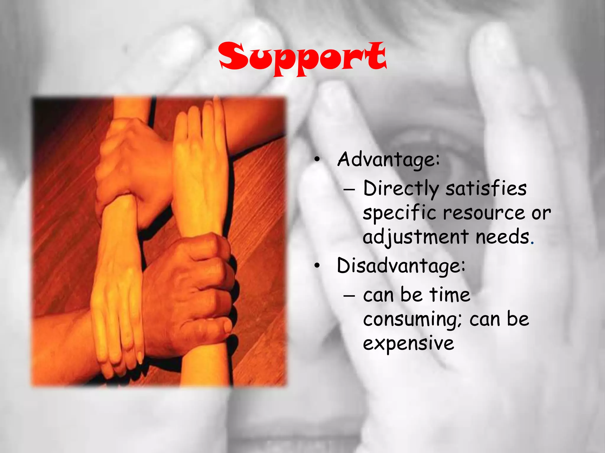SupportAdvantage:Directly satisfies specific resource or adjustment needs. Disadvantage:can be time consuming; can be expensive