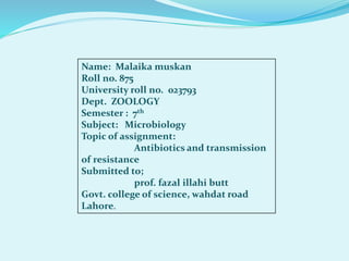 Name: Malaika muskan
Roll no. 875
University roll no. 023793
Dept. ZOOLOGY
Semester : 7th
Subject: Microbiology
Topic of assignment:
Antibiotics and transmission
of resistance
Submitted to;
prof. fazal illahi butt
Govt. college of science, wahdat road
Lahore.
 