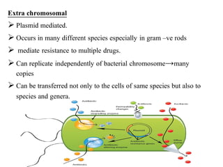 Extra chromosomal
➢ Plasmid mediated.
➢ Occurs in many different species especially in gram –ve rods
➢ mediate resistance to multiple drugs.
➢ Can replicate independently of bacterial chromosome→many
copies
➢ Can be transferred not only to the cells of same species but also to
species and genera.
 