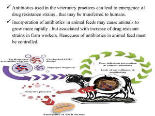 ✓ Antibiotics used in the veterinary practices can lead to emergence of
drug resistance strains , that may be transferred to humans.
✓ Incorporation of antibiotics in animal feeds may cause animals to
grow more rapidly , but associated with increase of drug resistant
strains in farm workers. Hence,use of antibiotics in animal feed must
be controlled.
 