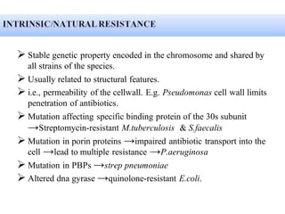 Intrinsic / natural resistance
➢ Stable genetic property encoded in the chromosome and shared by
all strains of the species.
➢ Usually related to structural features.
➢ i.e., permeability of the cellwall. E.g. Pseudomonas cell wall limits
penetration of antibiotics.
➢ Mutation affecting specific binding protein of the 30s subunit
→Streptomycin-resistant M.tuberculosis & S.faecalis
➢ Mutation in porin proteins →impaired antibiotic transport into the
cell →lead to multiple resistance →P.aeruginosa
➢ Mutation in PBPs →strep pneumoniae
➢ Altered dna gyrase →quinolone-resistant E.coli.
 