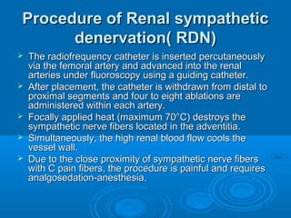Procedure of Renal sympatheticProcedure of Renal sympathetic
denervation( RDN)denervation( RDN)
 The radiofrequency catheter is inserted percutaneouslyThe radiofrequency catheter is inserted percutaneously
via the femoral artery and advanced into the renalvia the femoral artery and advanced into the renal
arteries under fluoroscopy using a guiding catheter.arteries under fluoroscopy using a guiding catheter.
 After placement, the catheter is withdrawn from distal toAfter placement, the catheter is withdrawn from distal to
proximal segments and four to eight ablations areproximal segments and four to eight ablations are
administered within each artery.administered within each artery.
 Focally applied heat (maximum 70°C) destroys theFocally applied heat (maximum 70°C) destroys the
sympathetic nerve fibers located in the adventitia.sympathetic nerve fibers located in the adventitia.
 Simultaneously, the high renal blood flow cools theSimultaneously, the high renal blood flow cools the
vessel wall.vessel wall.
 Due to the close proximity of sympathetic nerve fibersDue to the close proximity of sympathetic nerve fibers
with C pain fibers, the procedure is painful and requireswith C pain fibers, the procedure is painful and requires
analgosedation-anesthesia.analgosedation-anesthesia.
 